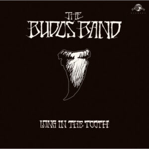 The Budos Band