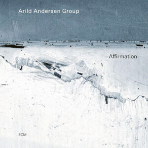 Arild Andersen Group