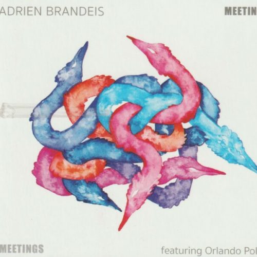 Adrian Brandeis. Meetings
