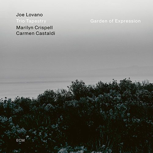 Trio Tapestry: Joe Lovano