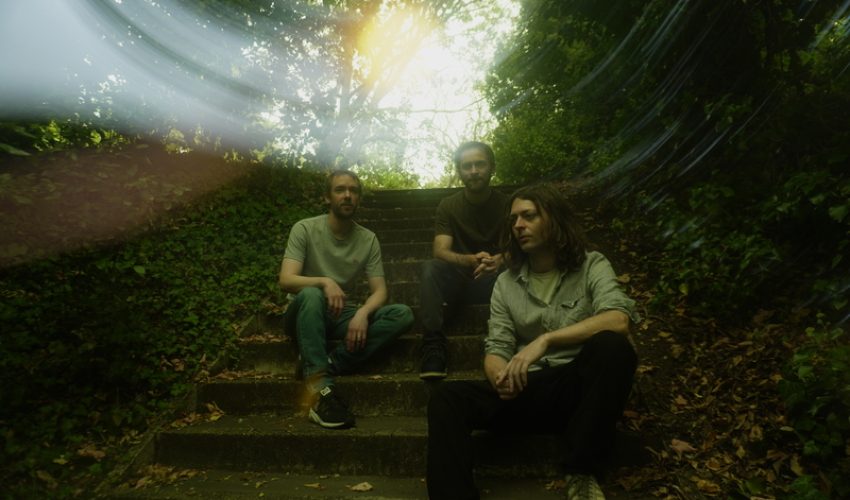 Mammal Hands - Circadia_7