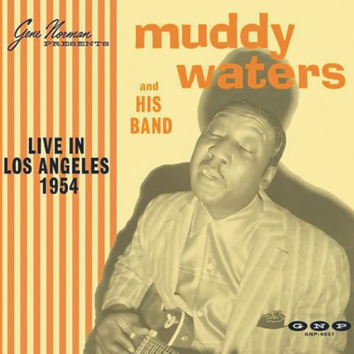 Muddy Waters