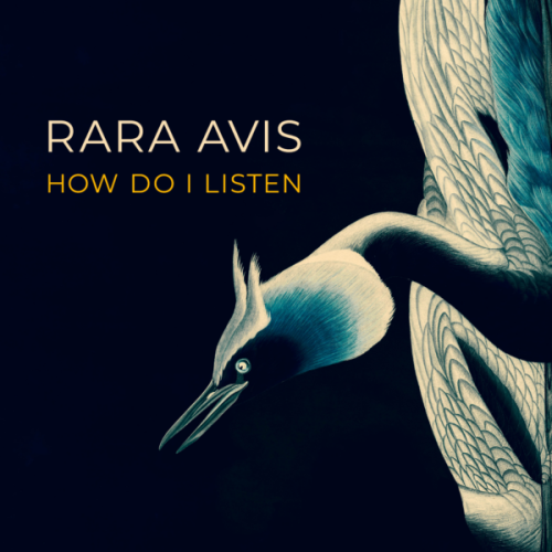 cd-kv-Rara Avis - How Do I Listen