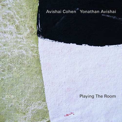 cohen avishai plaing the room