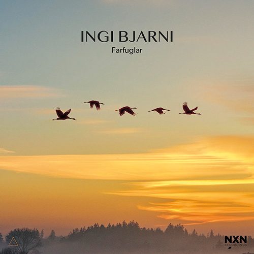 Ingi Bjarni