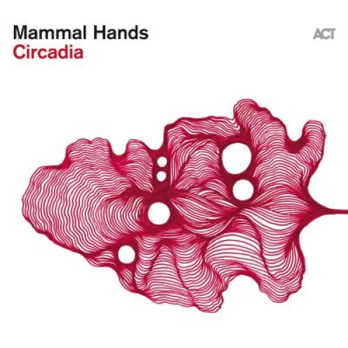 mammal hands-klein